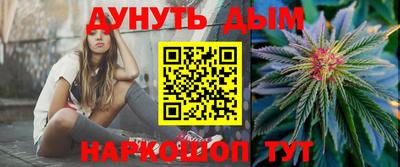МДПВ Камышлов
