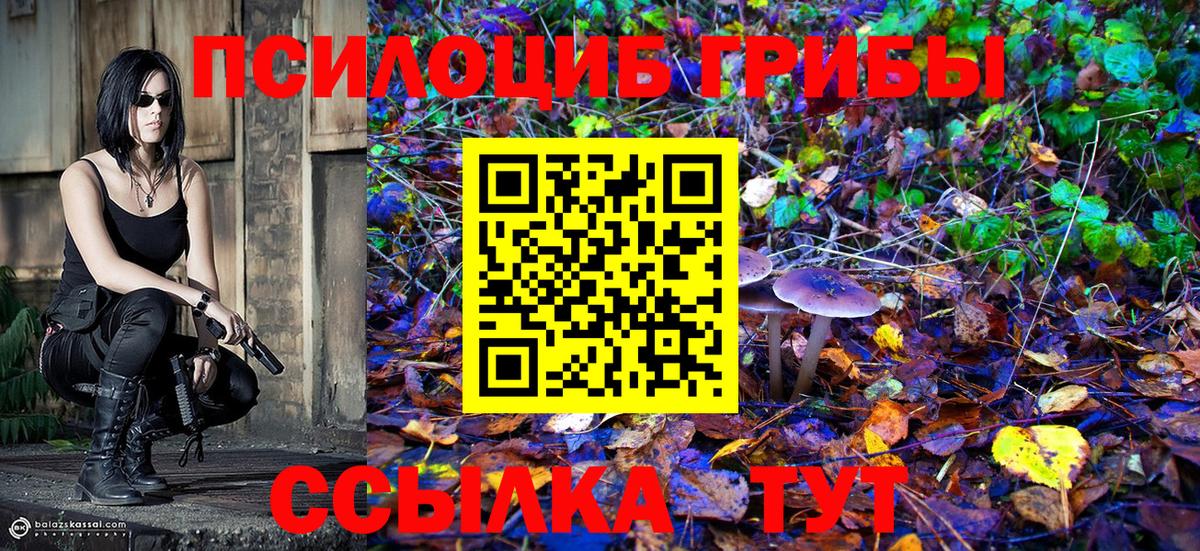 Лесозаводск  Галлюциногенные грибы мухоморы  Псилоцибиновые грибы мицелий  Вход с VPN 